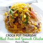Crock Pot Black Bean and Spinach Chicken